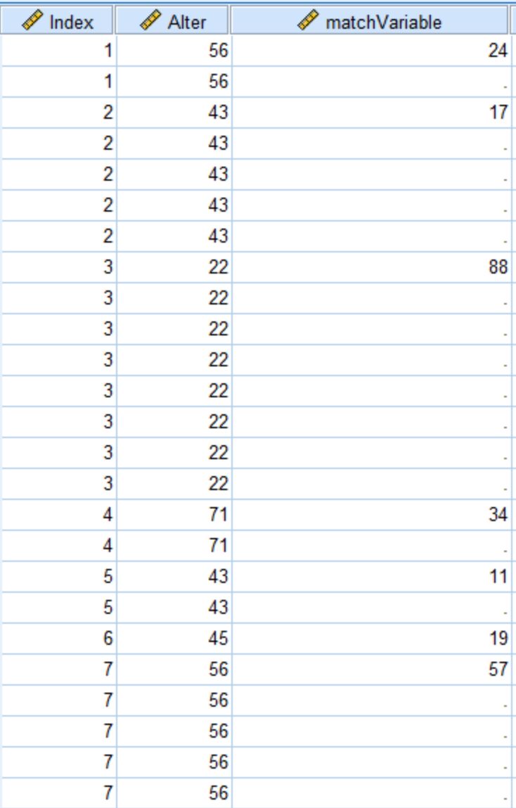 spss.JPG