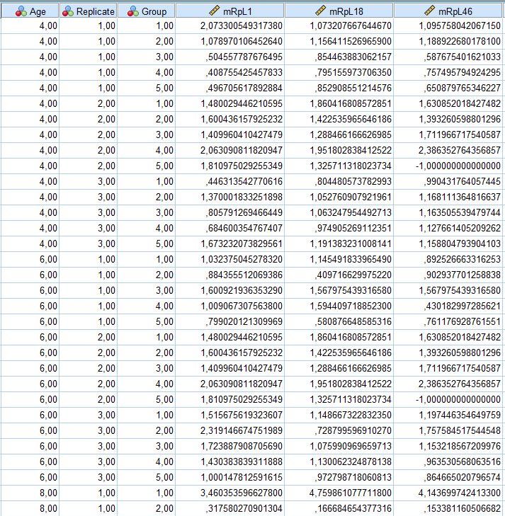 SPSS.JPG